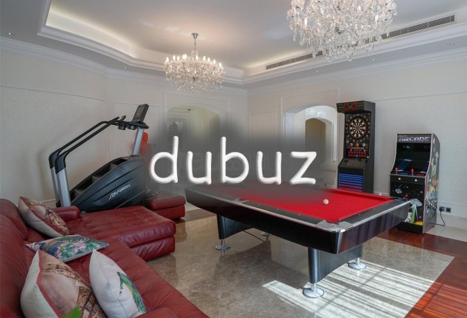 12000-sqft-bua-full-polo-field-view-vacant-big-7