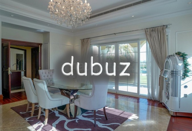 12000-sqft-bua-full-polo-field-view-vacant-big-6