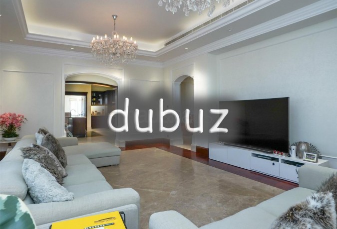 12000-sqft-bua-full-polo-field-view-vacant-big-3