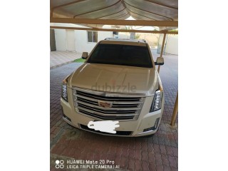 
                            
                            Escalade 2015
                            
                        