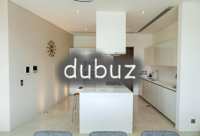 modern-style-5br-brand-new-atlantis-view-big-6