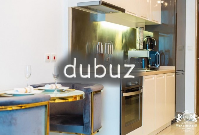 all-bills-i-furnished-i-near-dubai-mall-big-19