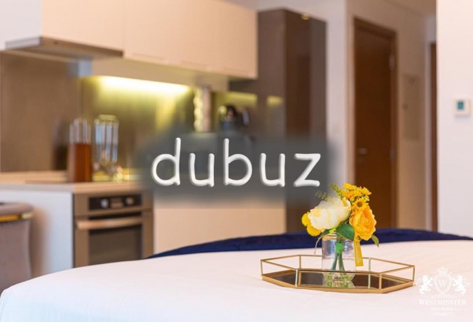 all-bills-i-furnished-i-near-dubai-mall-big-15