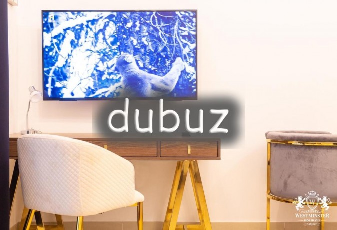 all-bills-i-furnished-i-near-dubai-mall-big-2