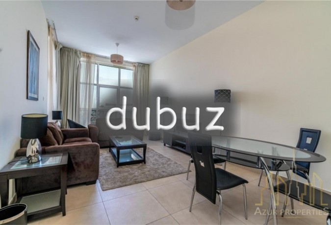 spacious-furnished-2-bedrooms-canal-view-unfurnished-furnished-big-7