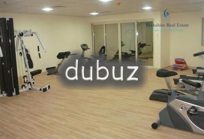 great-roi-1-bedroom-apt-for-sale-silicon-oasis-big-3