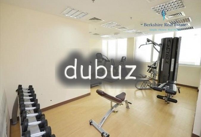 great-roi-1-bedroom-apt-for-sale-silicon-oasis-big-2