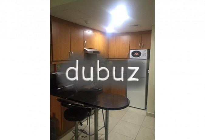 hot-deal-1-bed-rented-close-to-metro-big-7
