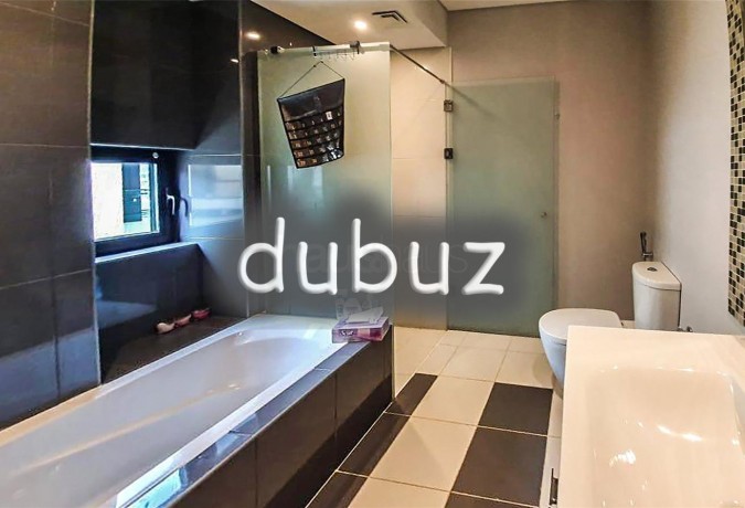 fully-furnished-thm-high-quality-landscaped-big-3