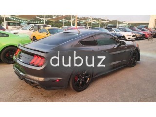 
                            
                            Mustang 2018 GT5.0/ Shelby Kit 2020
                            
                        