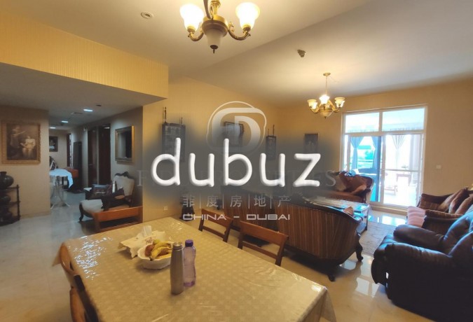 upgraded-terraced-apt-park-view-vacant-big-9