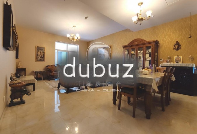 upgraded-terraced-apt-park-view-vacant-big-8