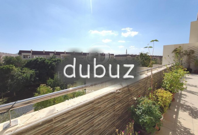 upgraded-terraced-apt-park-view-vacant-big-1