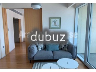 Vacant Fully Furnished Apt with Full Facilities