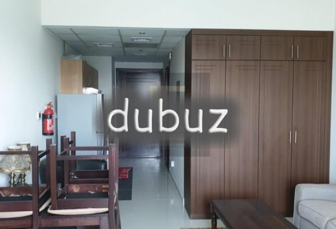 fully-furnished-i-spacious-studio-i-community-view-big-4