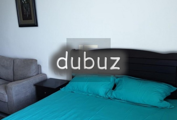 fully-furnished-i-spacious-studio-i-community-view-big-2