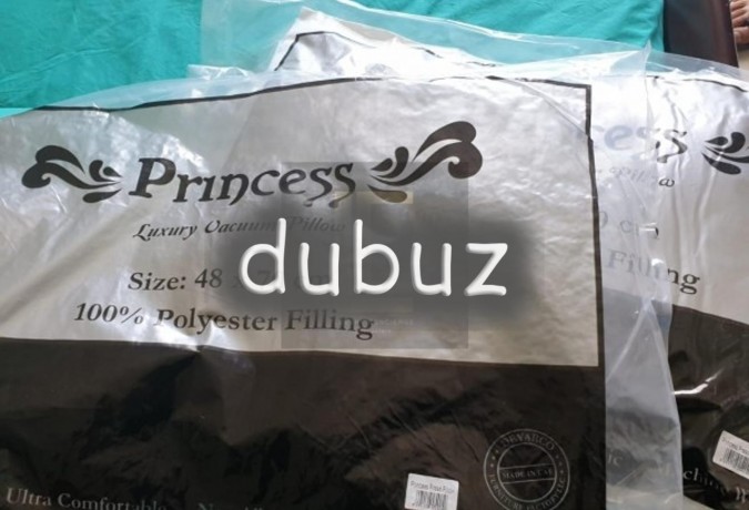 fully-furnished-i-spacious-studio-i-community-view-big-0