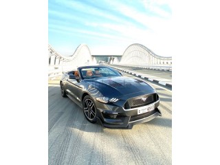 
                            
                            {2019} - Super Clean Premium V4 Ecoboost - Low Milage
                            
                        