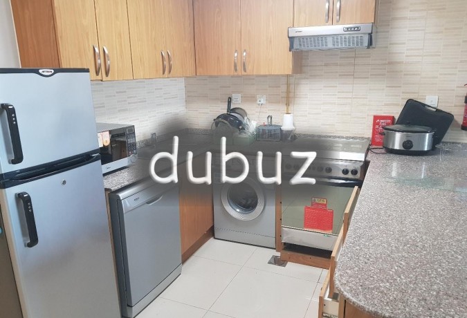 luxury-furnished-large-2-br-apartment-big-22