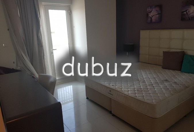 luxury-furnished-large-2-br-apartment-big-17