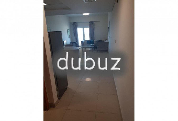 luxury-furnished-large-2-br-apartment-big-9