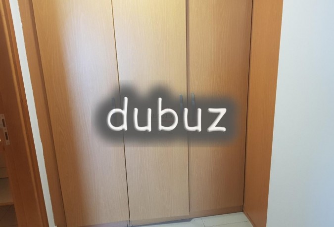 luxury-furnished-large-2-br-apartment-big-5