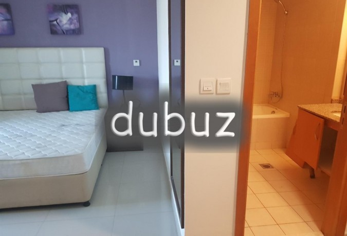 luxury-furnished-large-2-br-apartment-big-2