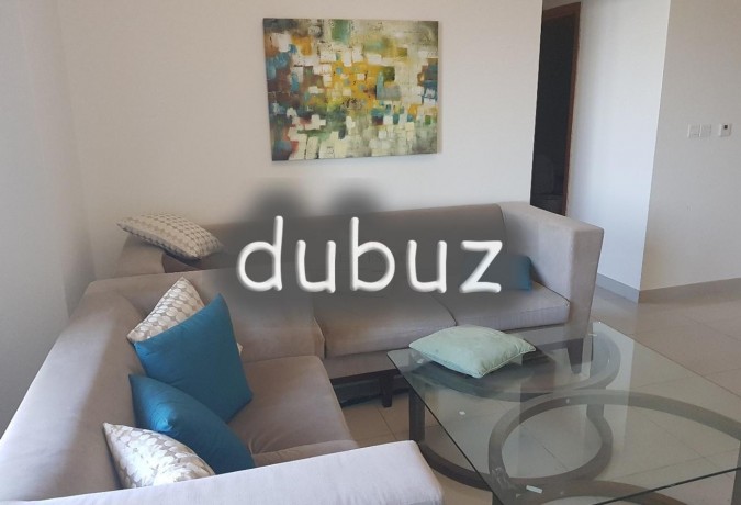 luxury-furnished-large-2-br-apartment-big-0