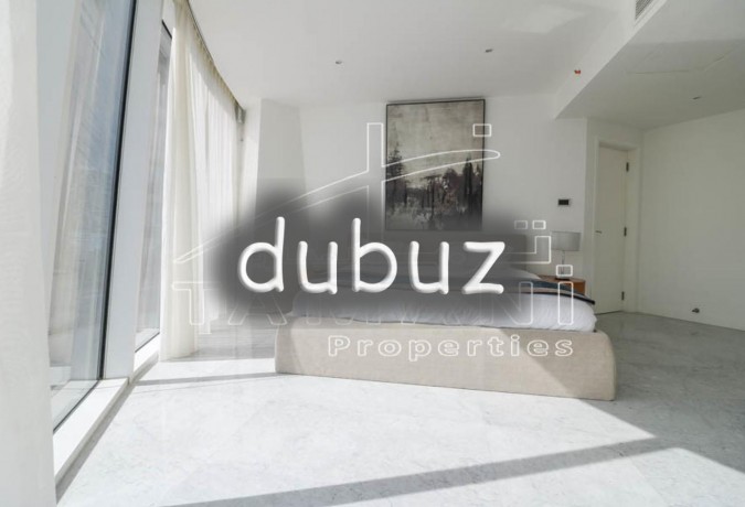 1-bedroom-unfurnished-spacious-brand-new-big-4
