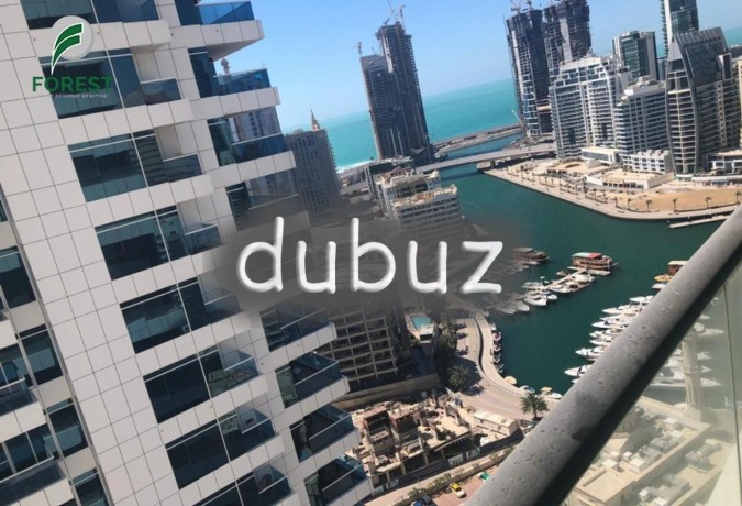 furnished-1-br-marina-view-free-chiller-big-9