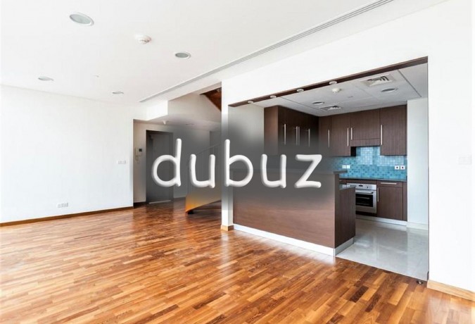 zabeel-facing-2br-apartment-burj-daman-big-6