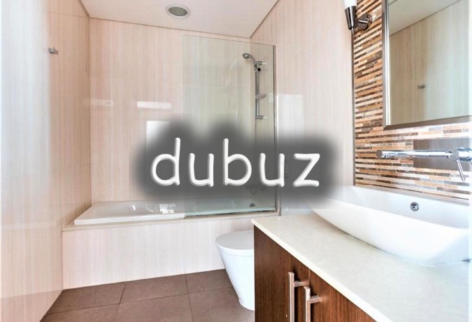 zabeel-facing-2br-apartment-burj-daman-big-2
