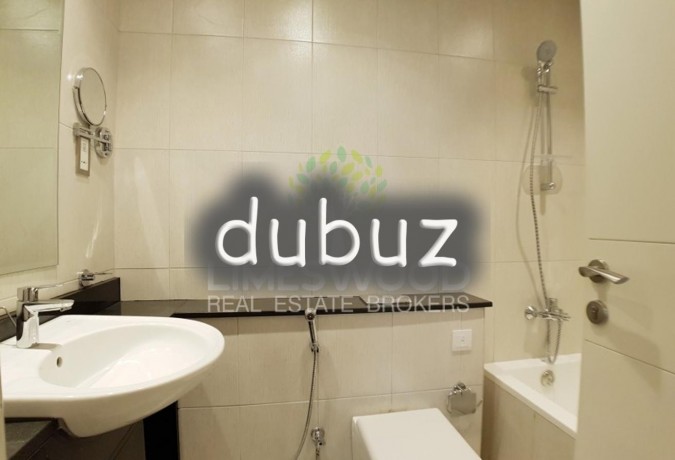 spacious-furnished-new-1-br-high-floor-vacant-big-17
