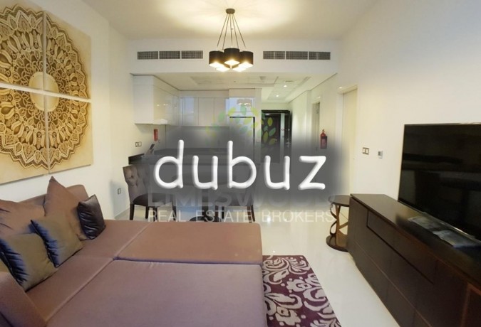 spacious-furnished-new-1-br-high-floor-vacant-big-8