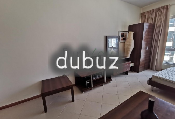 fully-furnished-chiller-free-studio4rent-big-1