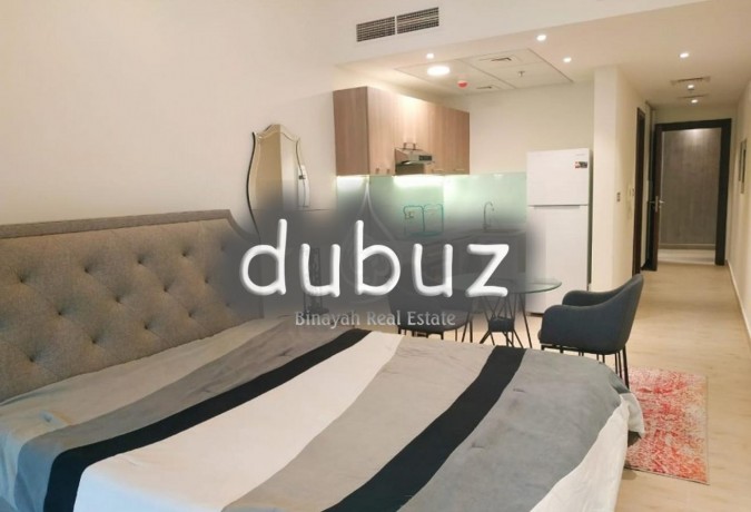 elegant-furnished-sudioaed-32k6chqspoolgymjvt-big-9