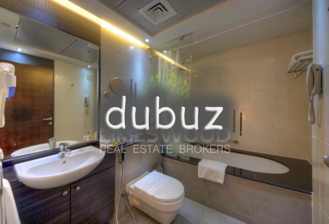 cozy-1-br-serviced-bills-included-near-metro-big-8