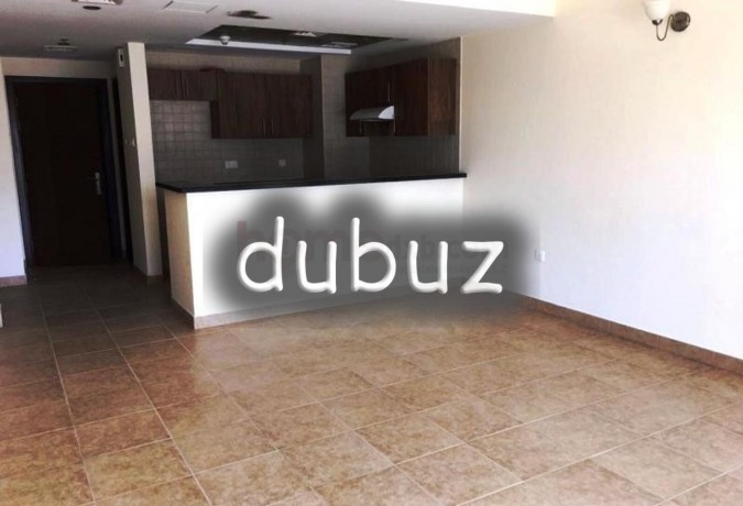 719-roi-1-2br-apt-golf-course-view18-units-big-11