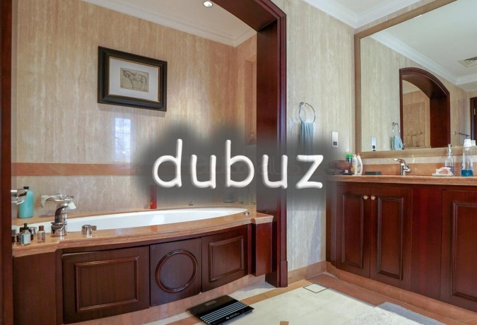 for-large-families-3-villas-beside-each-other-big-10