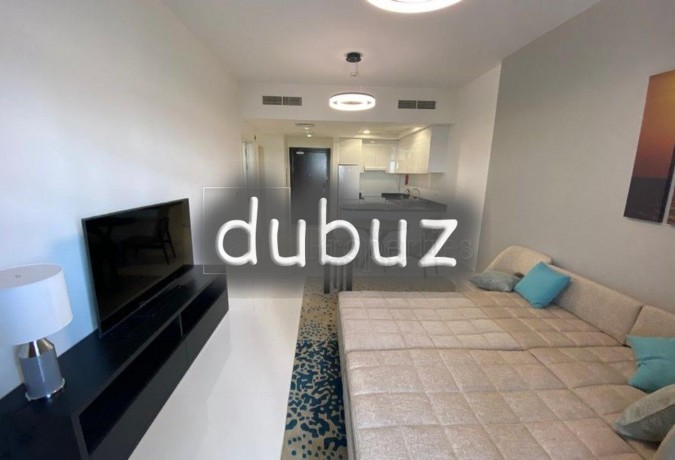 biggest-unit-new-amp-furnished-big-balcony-big-10