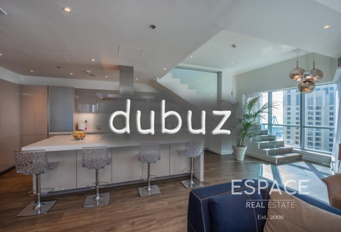 upgraded-penthouse-duplex-huge-terrace-big-14