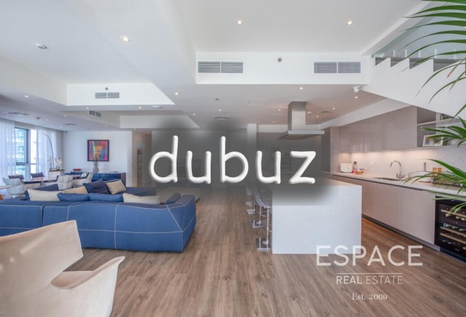 upgraded-penthouse-duplex-huge-terrace-big-13