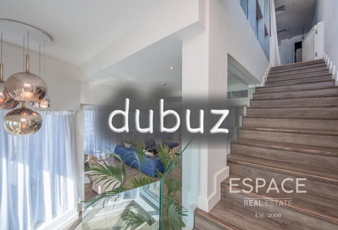 upgraded-penthouse-duplex-huge-terrace-big-9