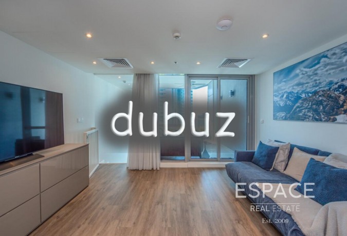upgraded-penthouse-duplex-huge-terrace-big-8