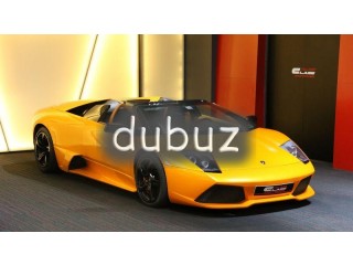 
                            
                            Lamborghini Murcielago LP640 Roadster 2008
                            
                        