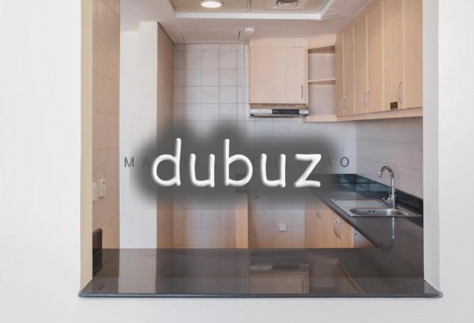 1-months-free-1br-in-street-1-chiller-free-big-13