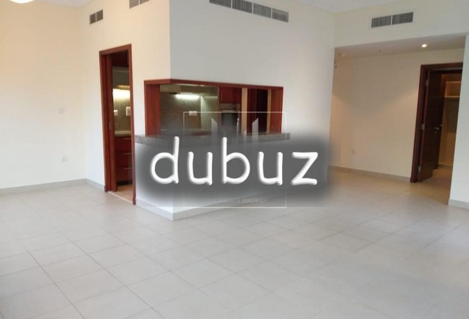 large-1br-south-ridge-down-town-garden-view-big-12
