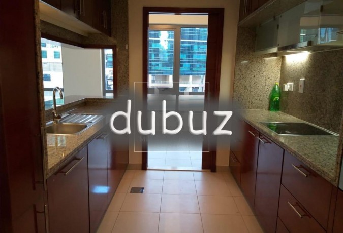 large-1br-south-ridge-down-town-garden-view-big-8