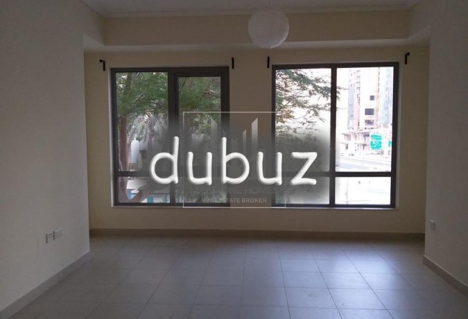 large-1br-south-ridge-down-town-garden-view-big-5