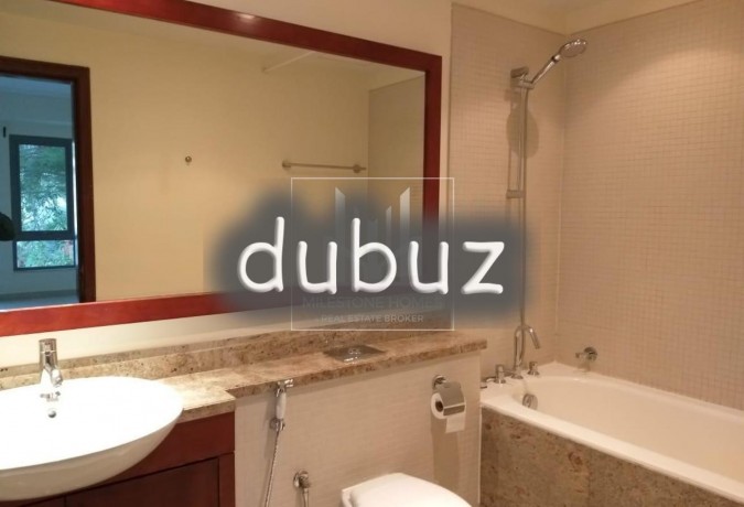 large-1br-south-ridge-down-town-garden-view-big-4
